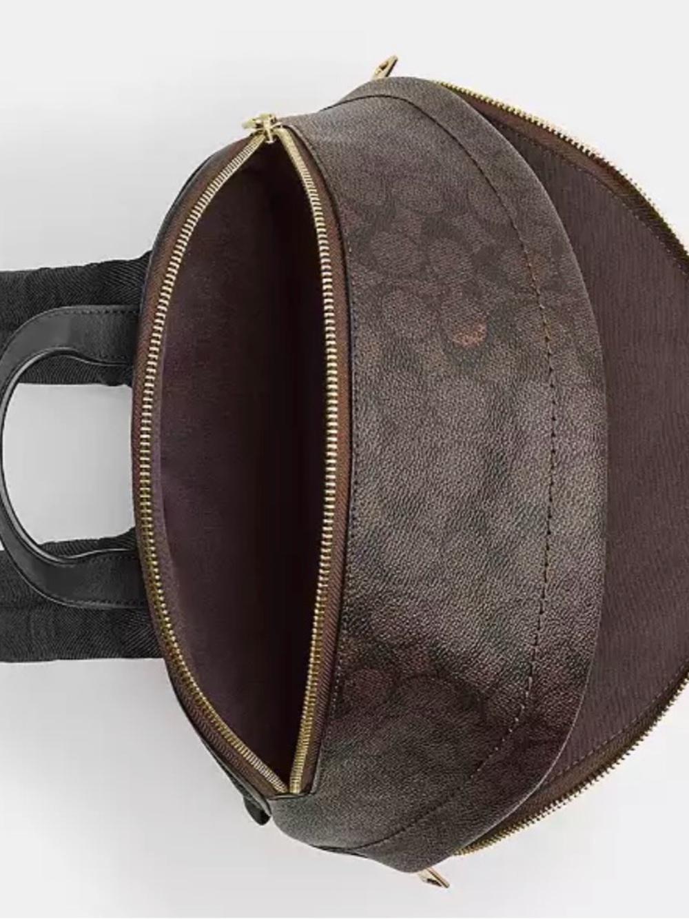 Coach Taylor Backpack In Signature Canvas - Picture 6 of 6